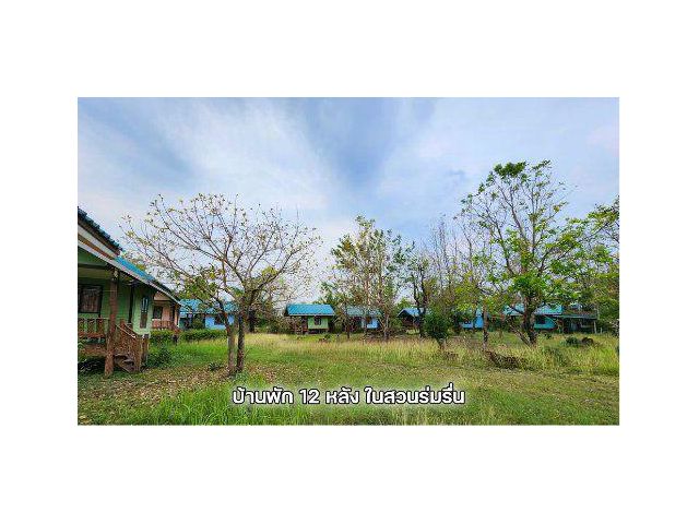 ขายรีสอร์ท 9 ไร่ ต.ทุ่งโพธิ์ อ.นาดี จ.ปราจีนบุรี