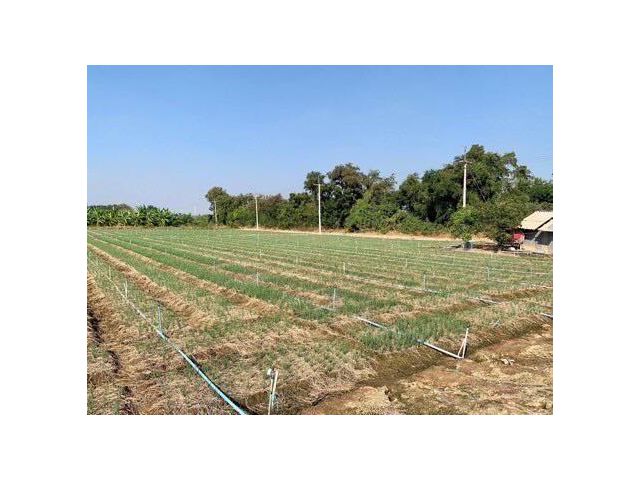 ที่ดินผืนใหญ่ทำเลดี10ไร่ โฉนดครุฑแดงพร้อมโอน ใกล้เทศบาลวังศาลา ท่าม่วง เข้าออกได้หลายทาง ติดถนนสาธารณะ ใกล้ทางด่วนM81