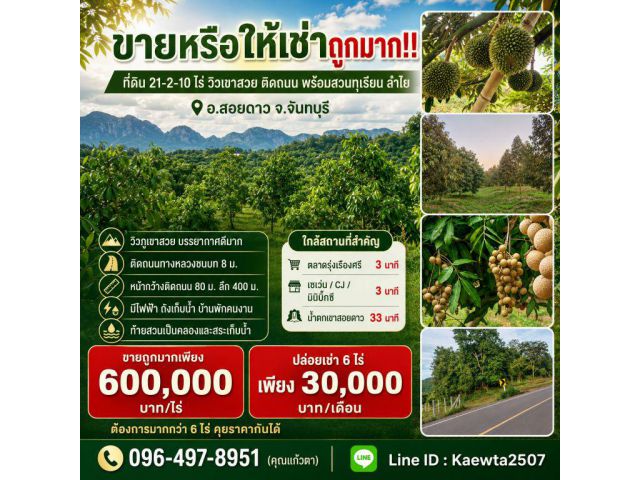 ขายหรือให้เช่าถูกมาก!! ที่ดิน 21-2-10 ไร่ วิวเขาสวย ติดถนน พร้อมสวนทุเรียน ลำไย อ.สอยดาว จ.จันทบุรี