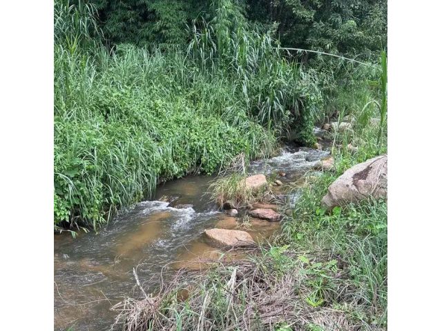 ขายที่ดินติดลำธารน้ำปางไฮดอยสะเก็ตโฉนดพร้อมโอน