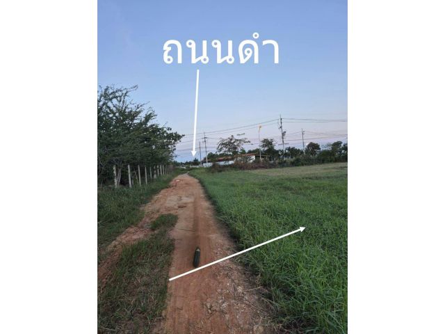 ขายที่ดิน 1 ไร่ ตำบลชะอำ อำเภอชะอำ จังหวัดเพชรบุรี (งดนายหน้าเพิ่มครับ)