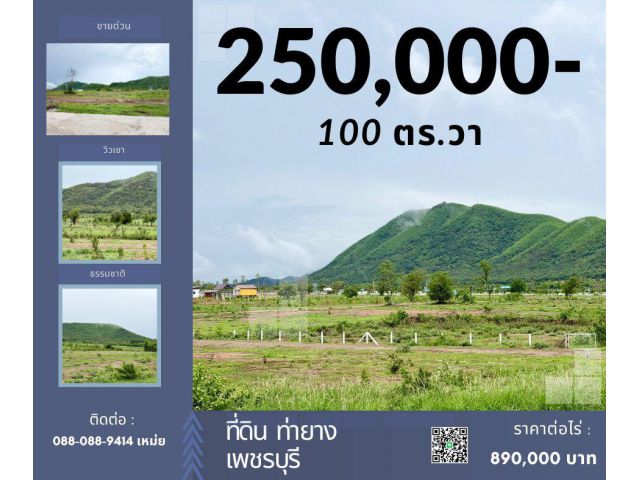 ท่ายาง เพชรบุรี ขนาด 100 ตร.วา สด ผ่อนได้