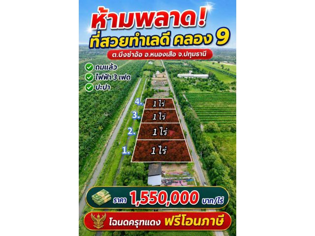 ที่ดินสวย คลอง 9 ปทุมธานี ทำเลดี ถมแล้วพร้อมสร้าง! ต.บึงชำอ้อ อ.หนองเสือ จ.ปทุมธานี เหมาะสำหรับสร้าง บ้าน • บ้านสวน