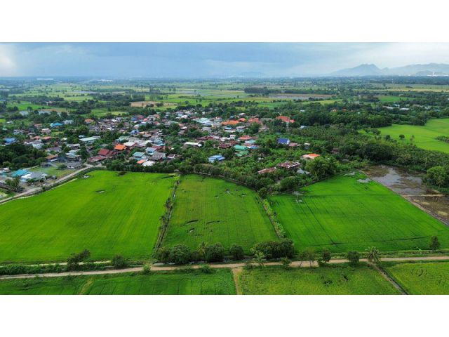 ที่นา 7-3-08 ไร่ ใกล้หมู่บ้านและสถานีรถไฟบ้านกลับ ตำบลบ้านกลับ อำเภอหนองโดน จังหวัดสระบุรี