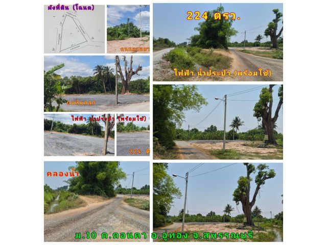 (โฉนด) ที่ดิน 224 ตรว. (พร้อมถม) และ ต้นไม้ใหญ่ หน้าติดถนนลาดยาง คลองน้ำ ไฟฟ้า น้ำประปา (พร้อมใช้) ม.10 ต.ดอนคา อ.อู่ทอง จ.สุพรรณบุรี