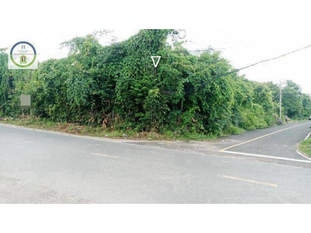 ขายที่ดินติดถนน 3 ด้าน บ้านนิคม จ.อุบลฯ