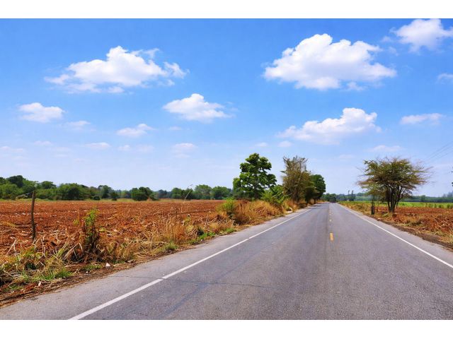ขายที่ดิน(โฉนด)165ไร่ ติดถนนลาดยาง ต.ตะโกทอง อ.ซับใหญ่ จ.ชัยภูมิ