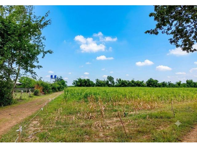 ขายที่ดิน(โฉนด)11ไร่ ติดทางสาธารณะ ต.บัวชุม อ.ชัยบาดาล จ.ลพบุรี