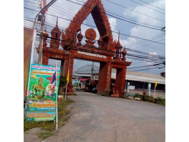 ขายที่ดิน 50 ตร.วา ถมแล้ว ในซอยวัดต้นตาล