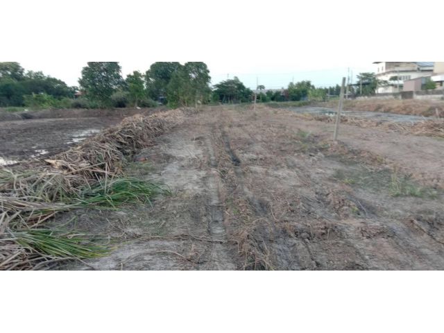 L641 ขายที่ดิน 3 ไร่ พนัสนิคม ชลบุรี