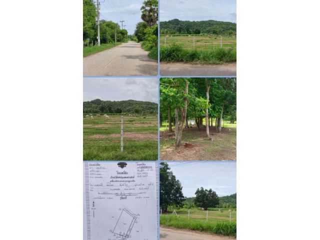 ที่ดินติดถนน วิวภูเขา