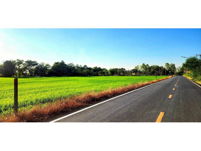 ขายที่ดินติดถนนลาดยางองครักษ์ นครนายก