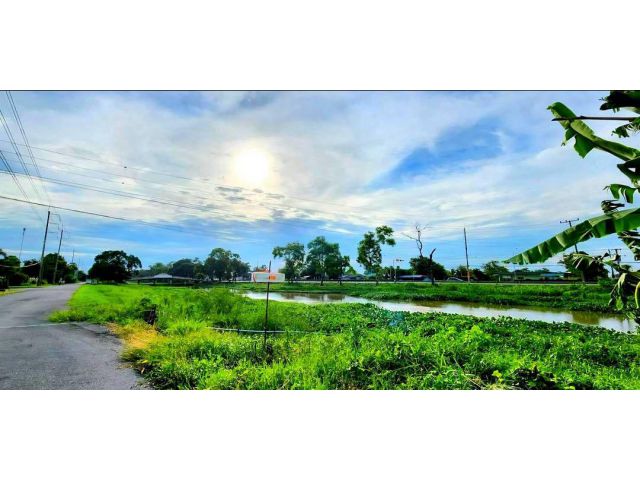ขายที่ดินติดคลองรังสิตใกล้มหาวิทยาลัยนานาชาติเซนต์เทเรซา ติดถนนลาดยาง