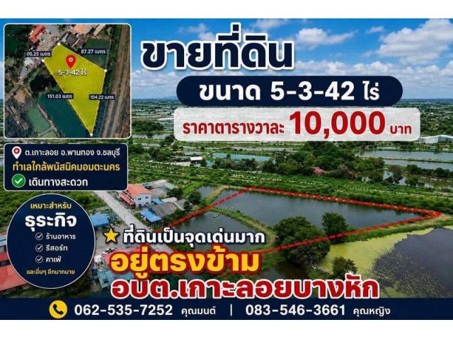 ขายที่ดินบ่อปลา ขนาด 5 ไร่ 3 งาน 42 ตรว ต.เกาะลอย อ.พานทอง จ.ชลบุรี