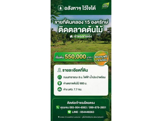 ขายที่ดิน 100 ตรว ผ่อนได้ถึง 60 งวด สามารถเข้าใช้พื้นที่ได้เลย