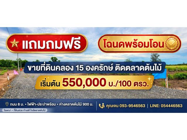 ขายที่ดินผ่อนได้พร้อมเข้าใช้พื้นที่ได้เลย100ตรว คลอง 15 ใกล้ตลาดต้นไม้