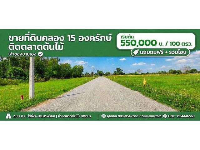 ขายที่ดินตลาดต้นไม้คลอง15 องครักษ์ 100 ตรว เจ้าของขายเอง เหมาะปลูกบ้านสวน