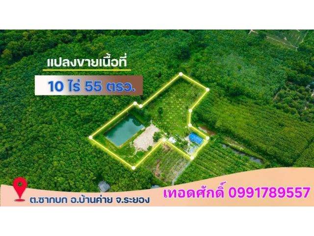 ขายที่ดินพร้อมสวนทุเรียน10ไร่55ตรว.