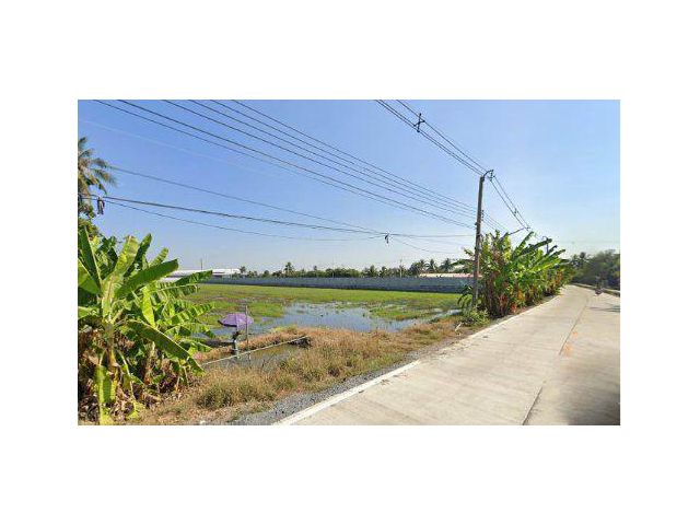ขายที่ดิน 10 ไร่ ติดถนนคอนกรีต ต.ท่าเสา อ.กระทุ่มแบน สมุทรสาคร