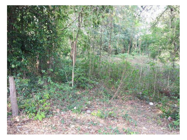 ขายที่ดิน 2 ไร่ ุ60 ตรว, ราคาพิเศษสุดๆ ต่อรองได้