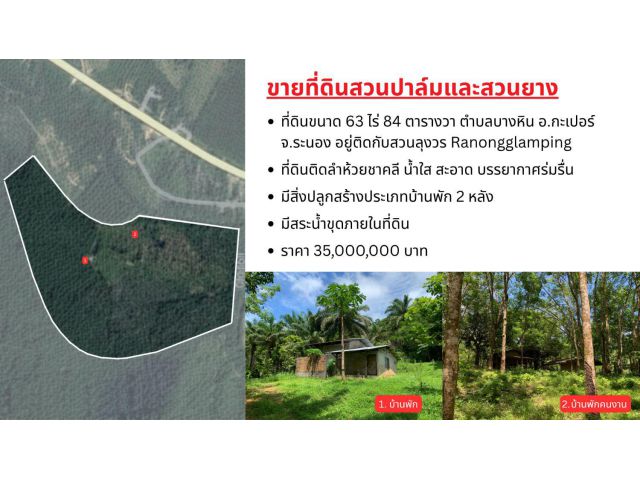ขายที่ดินผืนใหญ่พร้อมสวนปาล์มและสวนยางพารา มีลำห้วยโอมล้อม ต.บางหิน อ.กะเปอร์ จ.ระนอง
