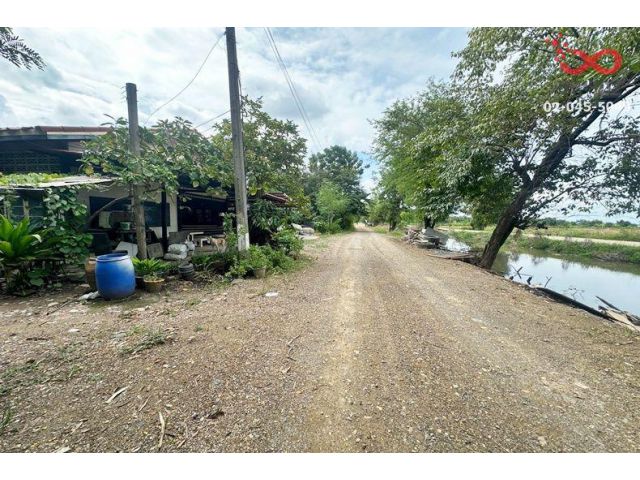 ขายที่ดิน 200 ตร.ว. คลองสี่ คลองหลวง ปทุมธานี แปลงสวย ราคาดี
