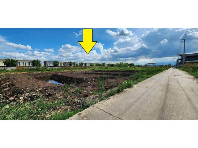 ขายที่ดิน1ไร่ ซอยไสวประชาราษฎร์ คลอง4 ลำลูกกา ปทุมธานี