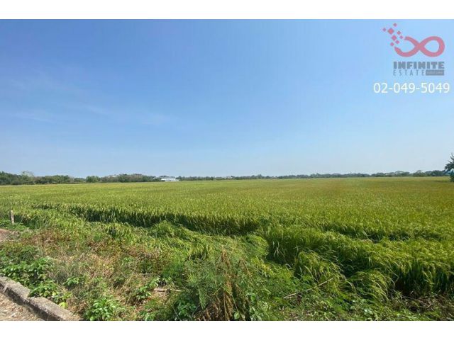 ขายที่ดิน 2 ไร่ 2 งาน ถนนนิมิตรใหม่ - ประชาร่วมใจ ซอยวัดสุขใจ 14 คลองสามวา
