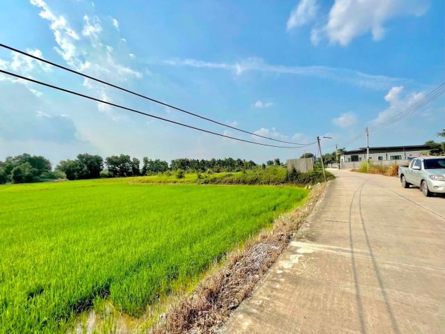 ขายที่ดินตาขัน 6 ไร่ ติดถนนคอนกรีตซอยโรงเรียนบ้านเก่า ใกล้เซ็นทรัล-10กม. อ.บ้านค่าย ระยอง
