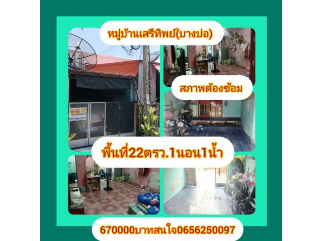 ทาวน์เฮ้าส์ชั้นเดียว