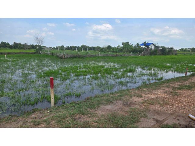 ขายที่ดินเปล่า50ตร.วา อยู่หลัง มศว.องครักษ์ คลอง 24 อ.องครักษ์ นครนายก
