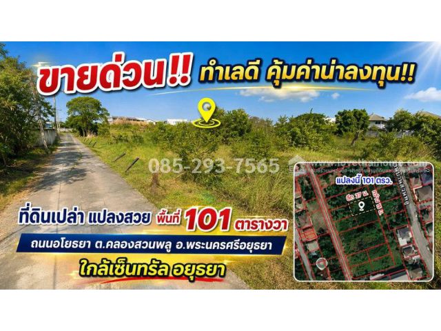 ขายที่ดิน ถนนอโยธยา พระนครศรีอยุธยา ตำบลคลองสวนพลู เข้าซอย 400 เมตร แปลงสวย พื้นที่ 101 ตารางวา  ใกล้เซ็นทรัล อยุธยา