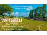 ที่ดินฉ.ครุฑแดง ไร่ละ 270,000 มีไฟฟ้าประปาพร้อม  มีเพื่อนบ้านชุมชนไม่เปลี่ยว **น้ำไม่ท่วม (จข.ขายเอง)