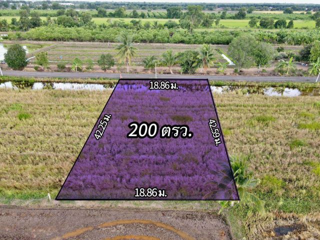 ️ที่ดินเงินผ่อนเชิงบ้านสวนเกษตร คลอง 11 อ.หนองเสือ ใกล้ชุมชน