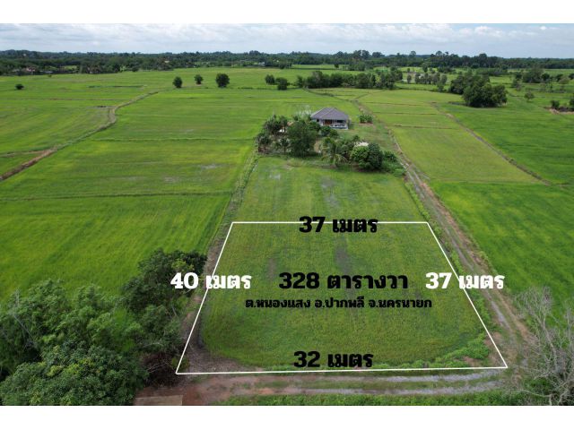 ขายที่ดิน 328 ตร.ว. โฉนดครุฑแดง ในซอยติดถนน บรรยากาศดี