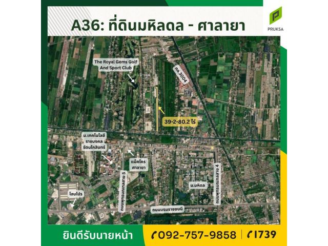 ขายที่ดินแปลงใหญ่ ย่านมหิดล-ศาลายา ทำเลดี