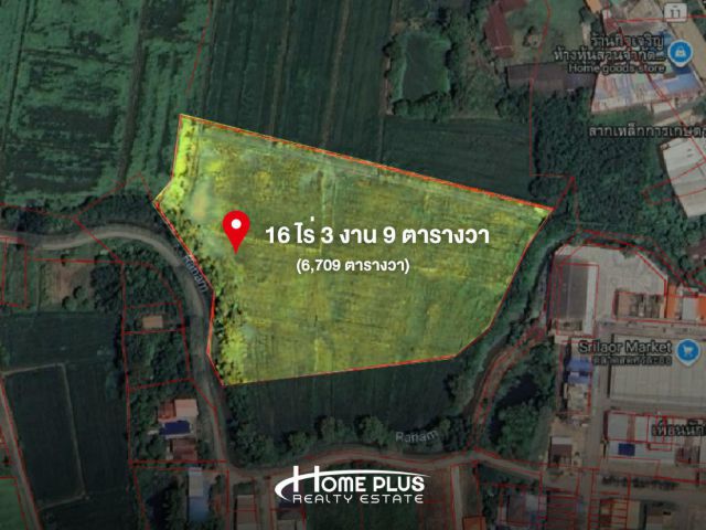 ขายที่ดินแปลงใหญ่ 16 ไร่กว่า – ติดตลาดสดศรีละออ อำเภอสากเหล็ก จังหวัดพิจิตร