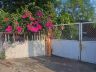 ขายบ้านพร้อมที่ดิน 128 ตร.ว. ถนนบางแสนสาย 2 ซอย 15 ใกล้ทะเลบางแสน (ขายด่วน)