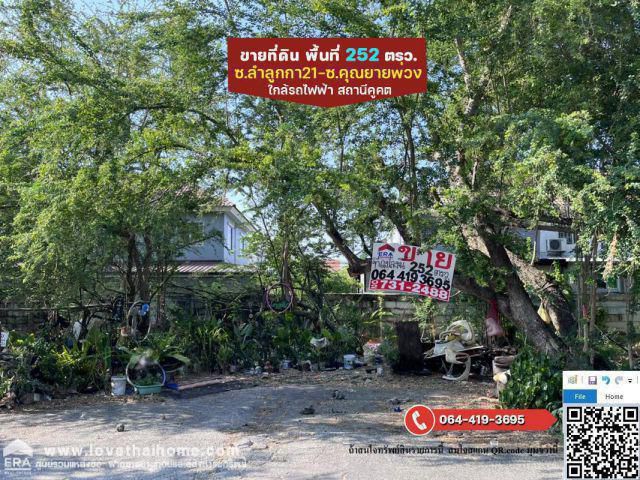 ขายที่ดินเปล่าซอยลำลูกกา21-ซอยคุณยายพ่วง ย่านชุมชนลำสามแก้ว ถนนลำลูกกา คลอง2 พื้นที่252ตรว. เป็นแปลงที่เหมาะพัฒนาปลูกสร้