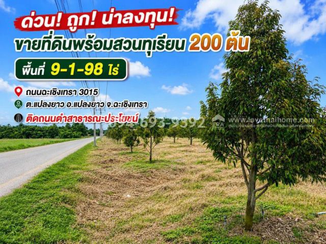 ขายที่ดิน อ.แปลงยาว จ.ฉะเชิงเทรา พร้อมสวนทุเรียน 200 ต้น ได้ทั้งที่ดิน ได้ทั้งสวน พื้นที่ 9 ไร่ 1 งาน 98 ตรว.
