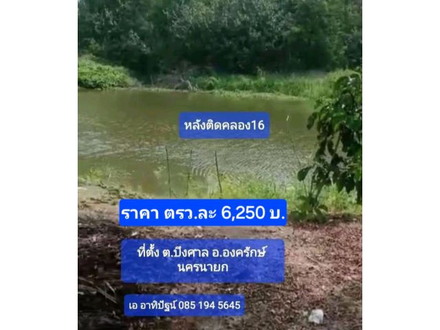 ขายที่ติดคลอง16 หน้าติดถนน3022 ตรงข้ามโครงการ คันนาวิลล์3 คลอง16 บึงศาล องครักษ์ นครนายก