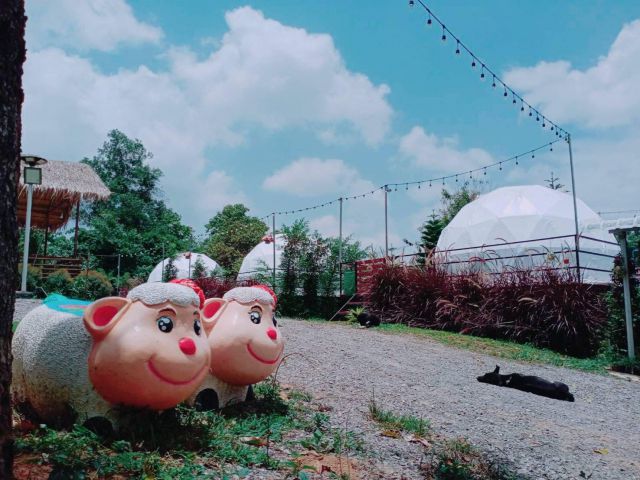 ด่วนที่สุด ขายรีสอร์ทติดทางหลวง 2196 วิวทะเลหมอก จำนวน 2 ไร่ 54 ตารางวา