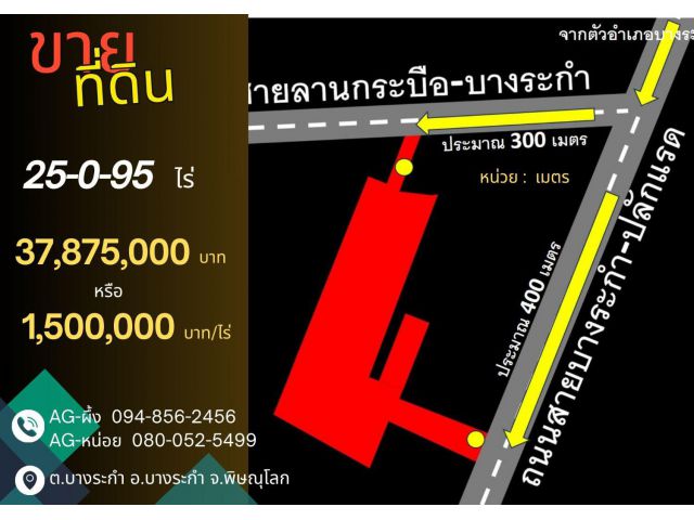 ที่ดินพิษณุโลก บางระกำ 25-0-95 ไร่ ติดถนนหลวง 2 ด้าน
