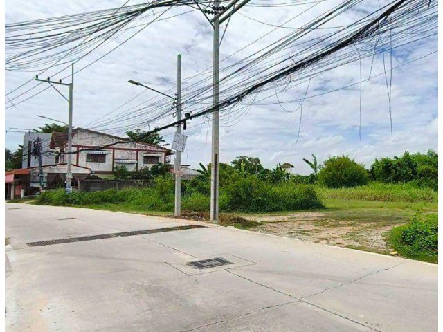 ขายที่ดินหนองปรือ พัทยา 202 ตรว. ซอยเนินพลับหวาน มาบยายเลีย43 ใกล้อ่างเก็บน้ำมาบประชัน-4กม. อ.บางละมุง ชลบุรี