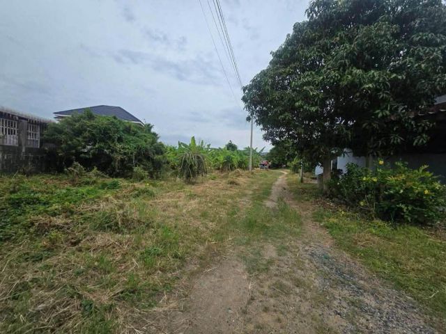 ขายที่ดินติดถนนสุขุมวิท ใจกลางเมือง 761 ตร.ว.