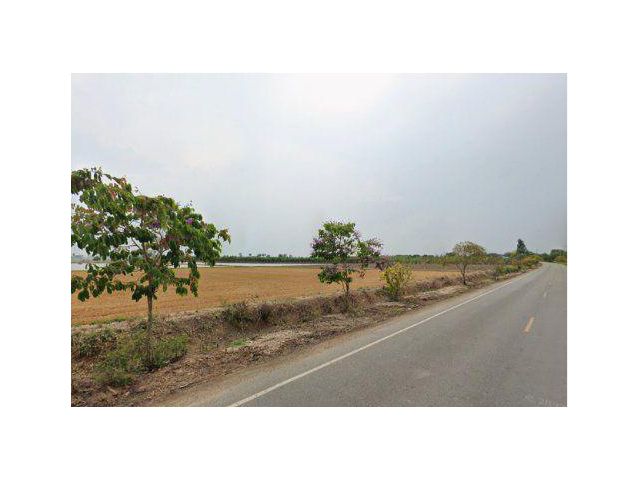 ขายที่ดิน 7 ไร่ ติดถนนลาดยาง ต.วังลึก อ.สามชุก สุพรรณบุรี