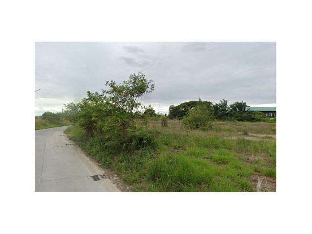 ขายที่ดิน 5 ไร่ ใกล้ถนนศุขประยูร ต.หนองกะขะ อ.พานทอง จ.ชลบุรี