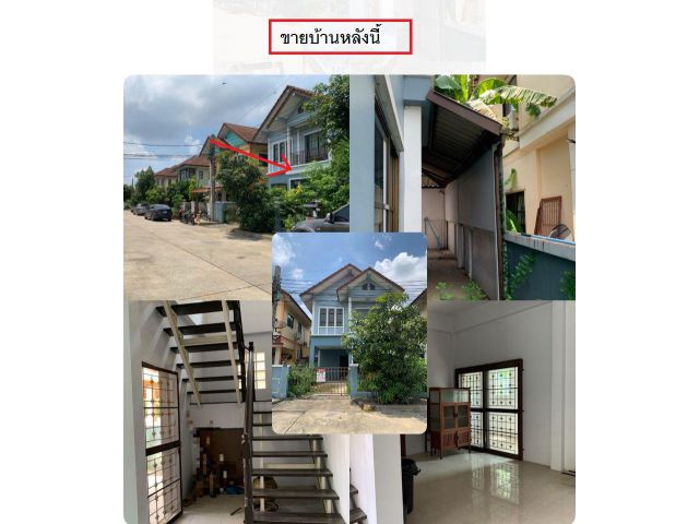 ขายบ้านเดี่ยว 2 ชั้น ม.เต็มศิริ พาร์ค 2 ถ.มิตรไมตรี หนองจอก ขนาด 36 ตารางวา มี 3 ห้องนอน 2 ห้องน้ำ ปรับปรุงใหม่พร้อมอย