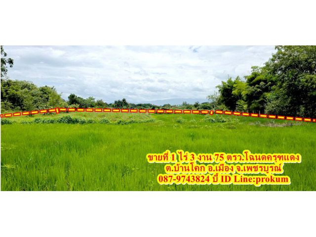 ขายที่ดิน 1 ไร่ 3 งาน 75 ตรว.ใกล้ๆ อบต.บ้านโคก