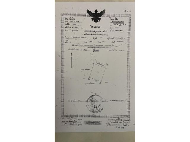 ขายที่ดิน14ไร่99ตร.ว.